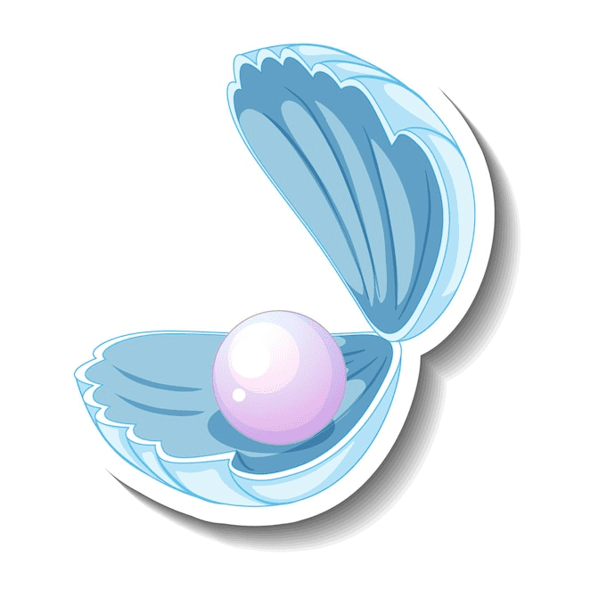 Clipart Clam Photo Download