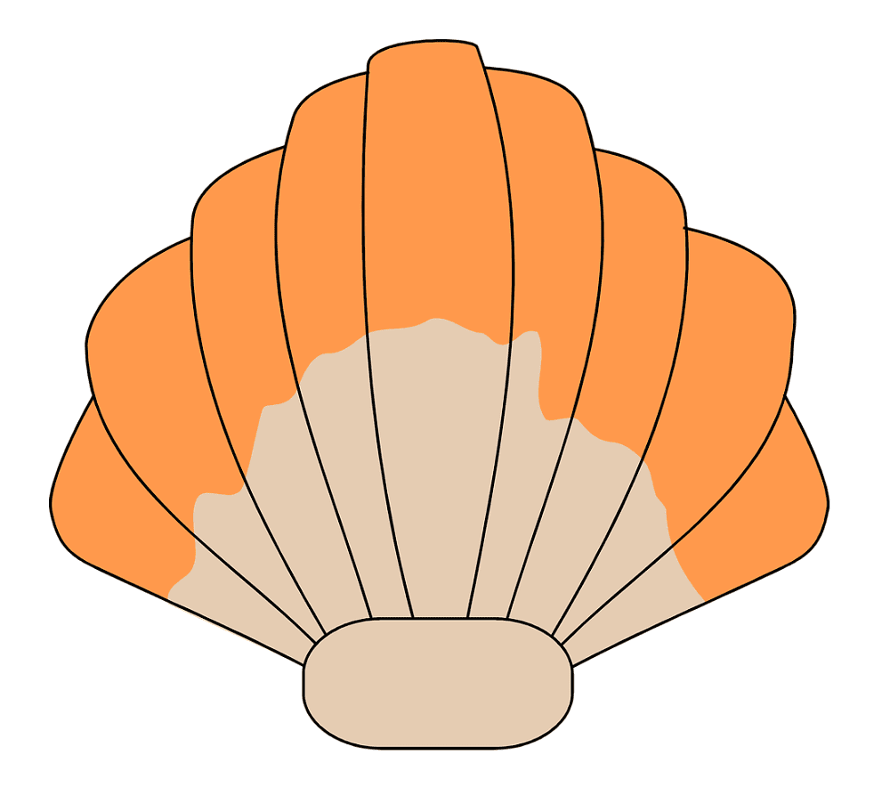 Clipart Clam Pictures