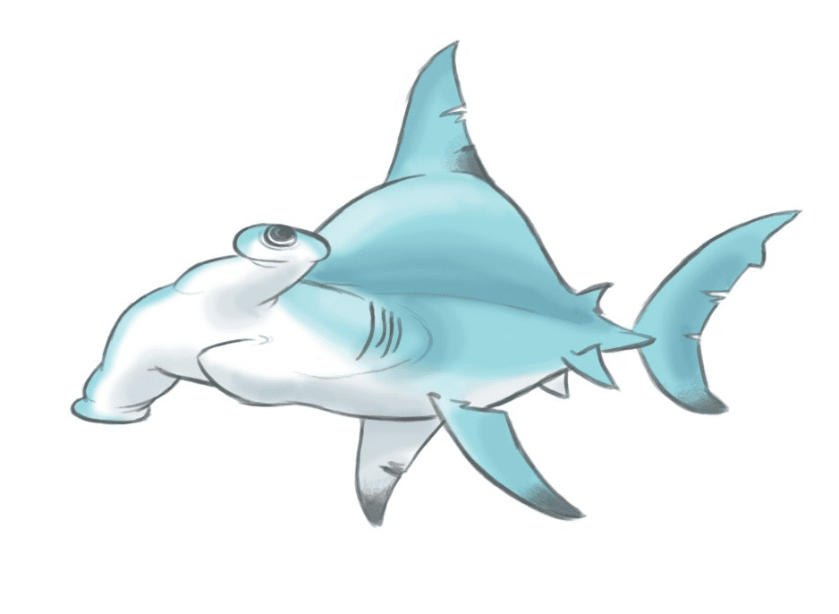 Clipart Free Image of Hammerhead Shark