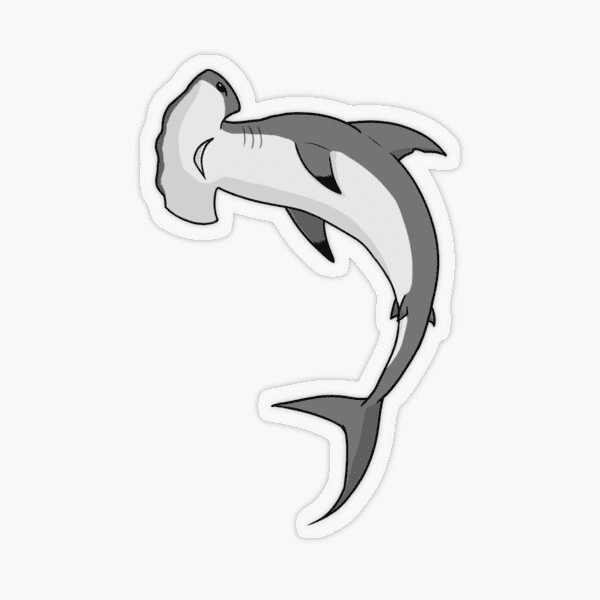 Clipart Free Picture of Hammerhead Shark
