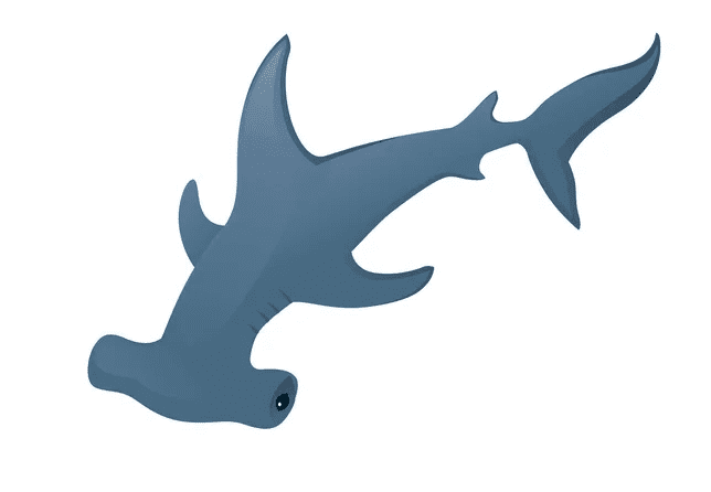 Clipart Hammerhead Shark Png