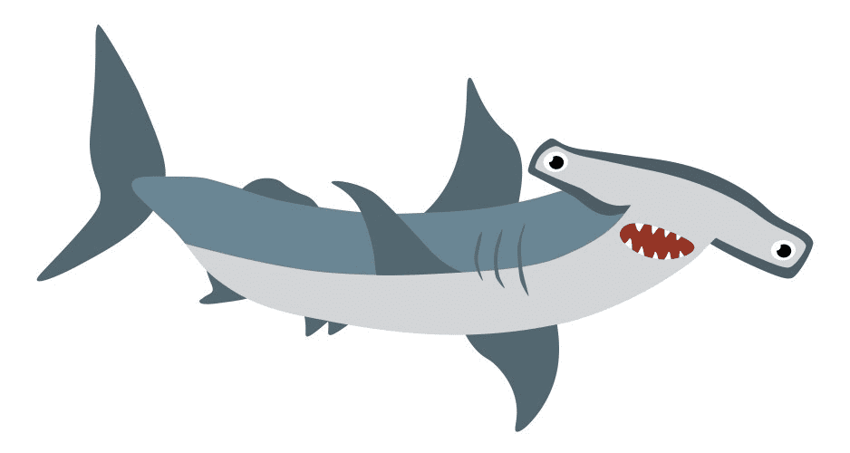Clipart Hammerhead Shark free Download