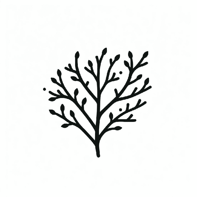 Clipart of Tree Branch Picture Png