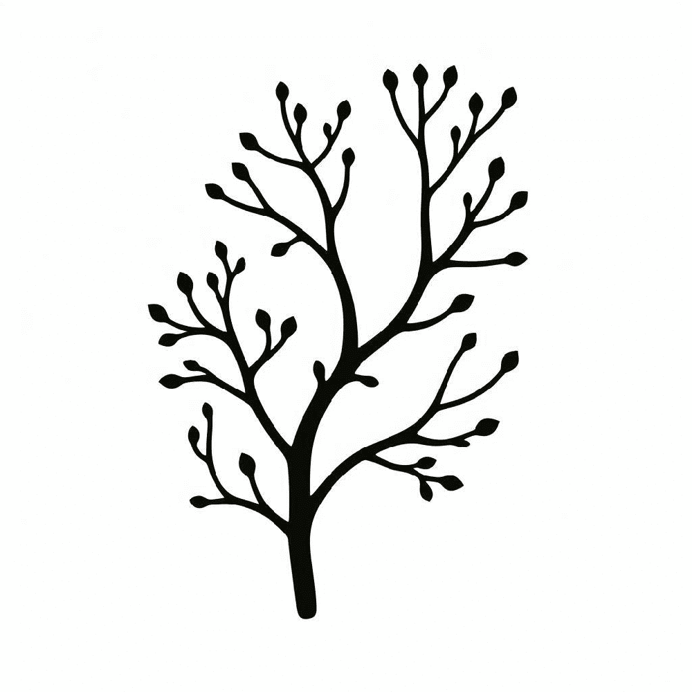 Clipart of Tree Branch Pictures Png