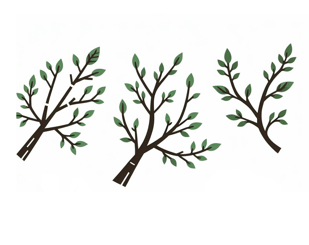 Clipart of Tree Branch Png