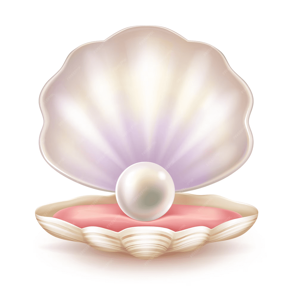 Free Image of Clam Clipart