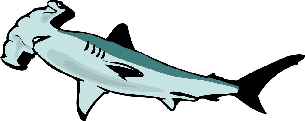 Hammerhead Shark Clipart Download Free