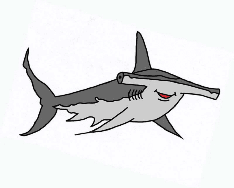 Hammerhead Shark Clipart Pictures
