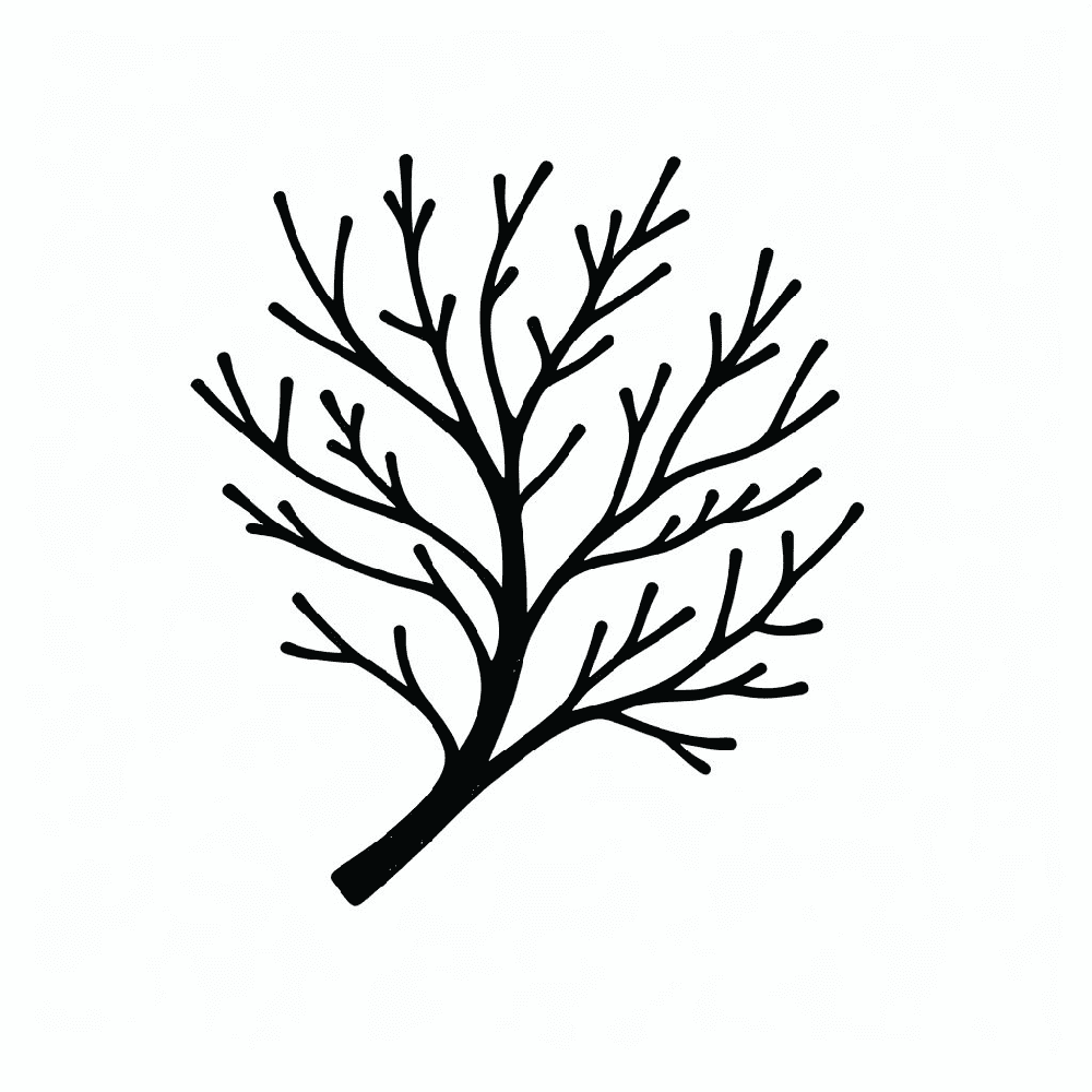 Tree Branch Clipart Download Png