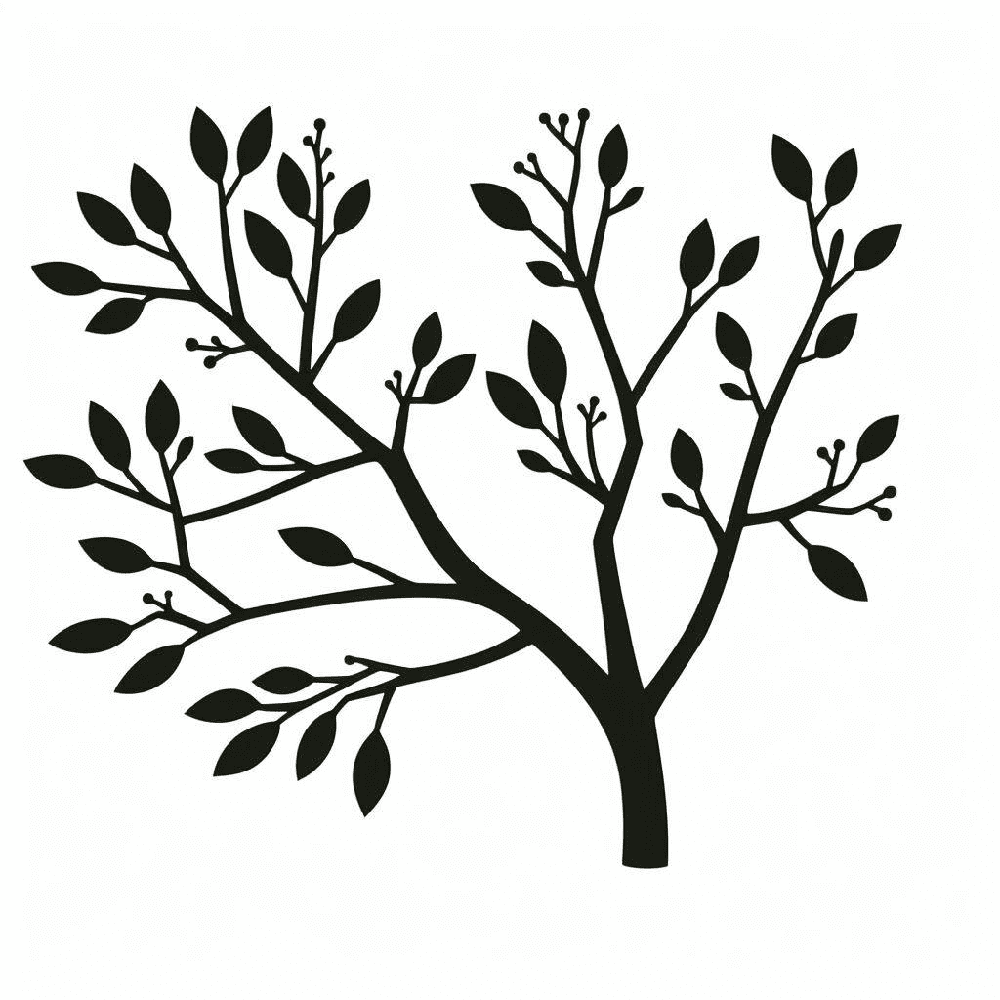 Tree Branch Clipart Pictures Png