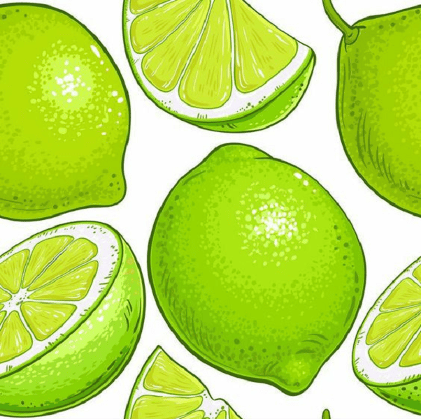 Citrus Clipart Images Download