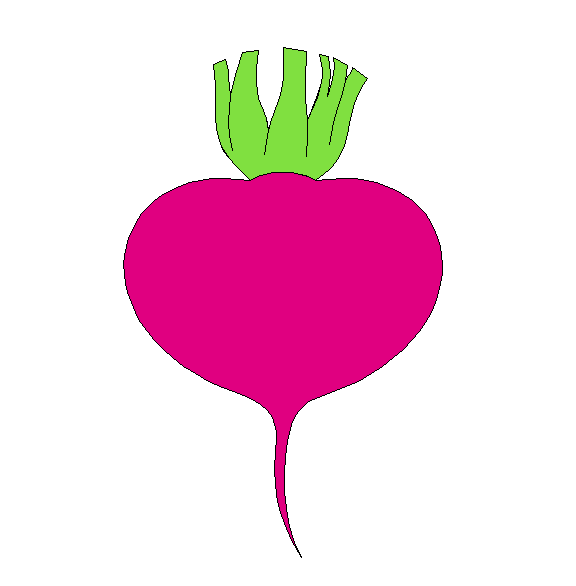 Clipart of Turnip Image