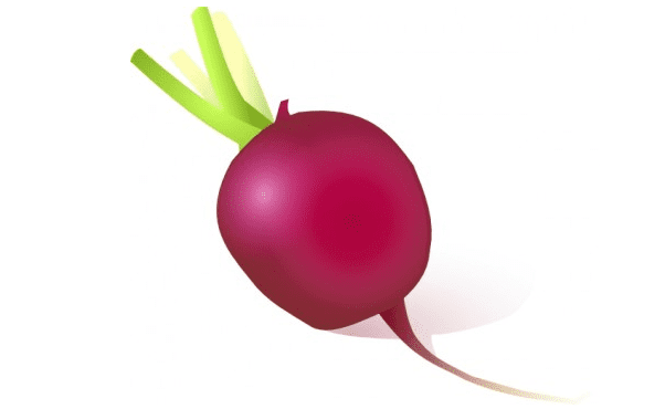 Clipart of Turnip Images