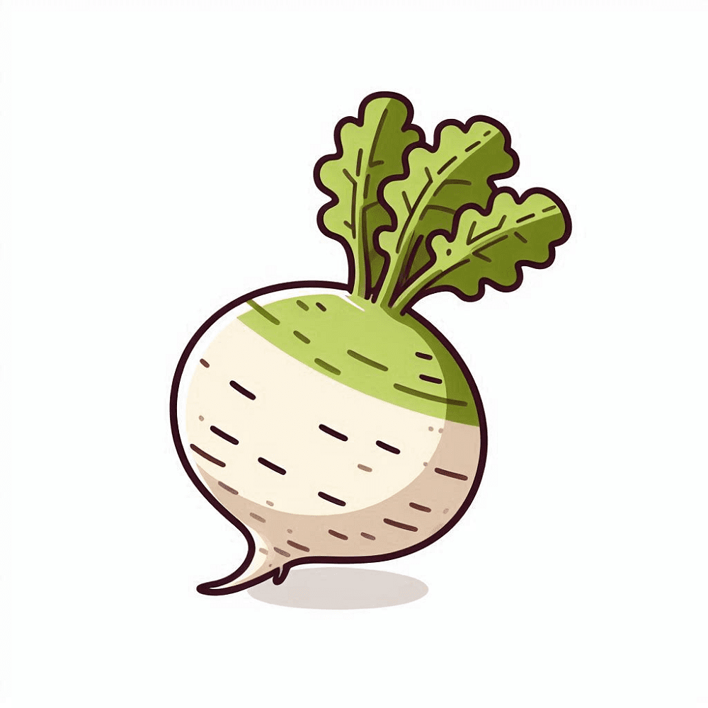 Download Turnip Clipart