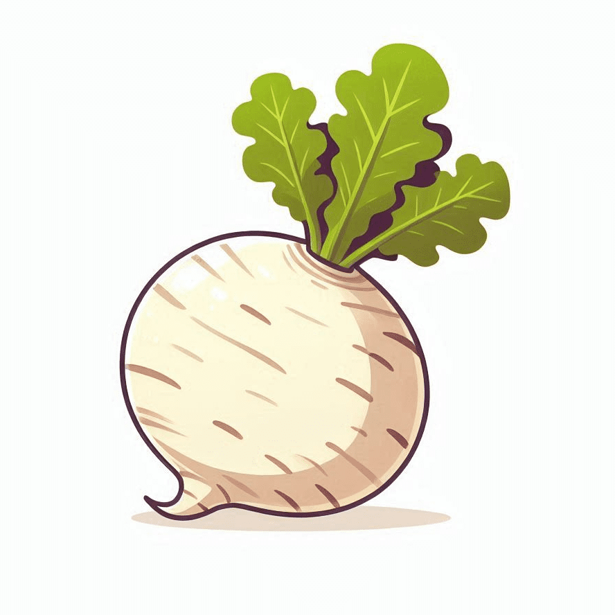 Turnip Clipart Free Images