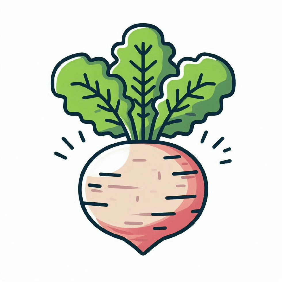 Turnip Clipart Image Png