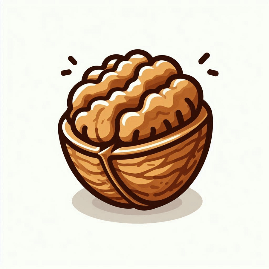 Walnut Clipart Free Pictures