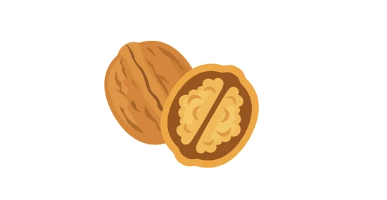Walnut Clipart Image Png