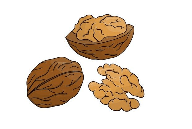 Walnut Clipart Images Png
