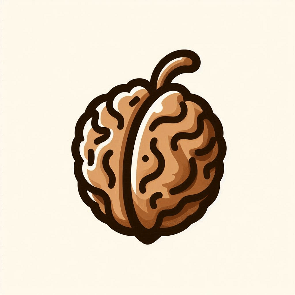 Walnut Clipart Picture Free