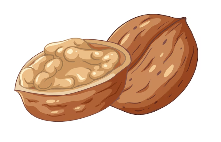 Walnut Clipart Png Download