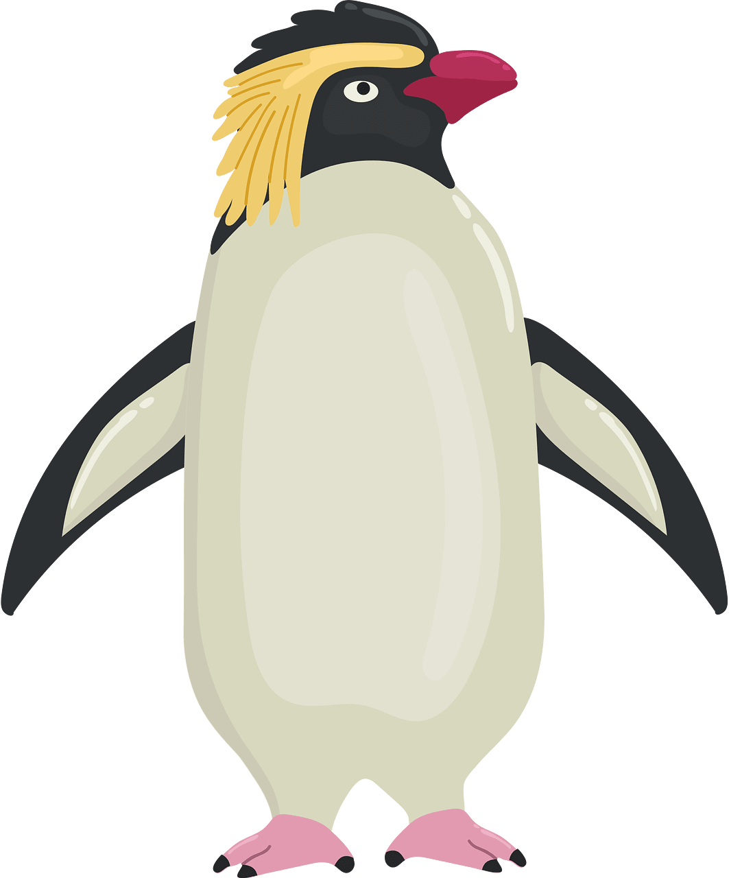 Rockhopper Penguin Free