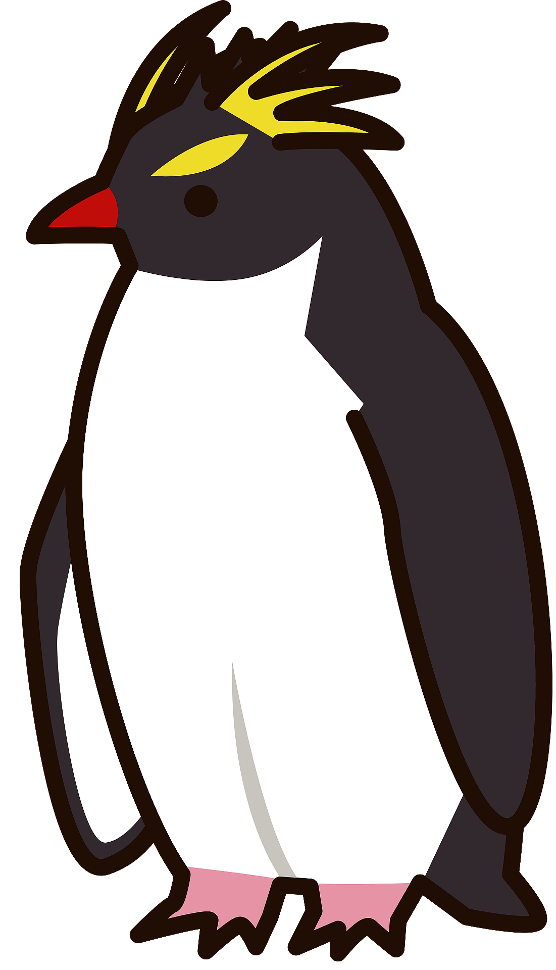 Southern Rockhopper Penguin Free